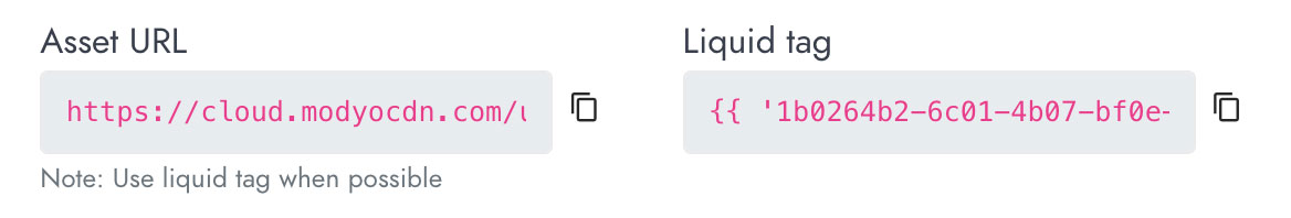 The URL and Liquid Tag assigned to the asset.