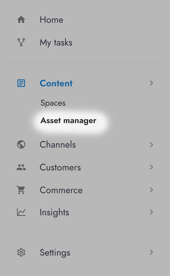 Asset manager from the main menu.