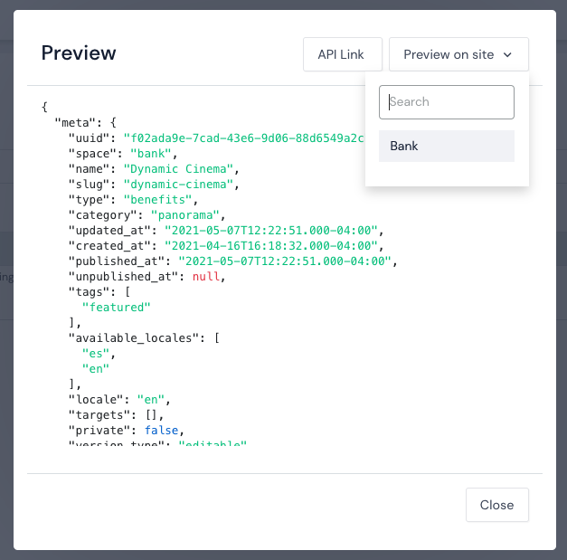 The JSON information that appears when you click the preview site button.