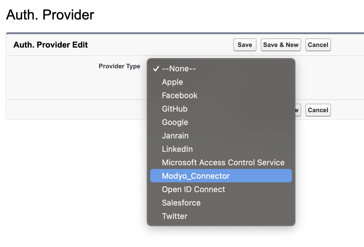 Authentication Provider Edit in Salesforce