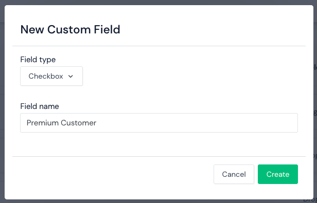 Image adding a New Custom Field in Modyo.