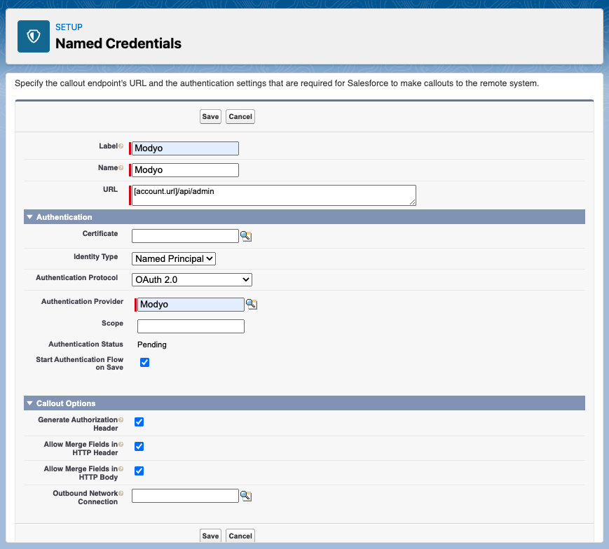 Image with Named Credentials flow in Salesforce